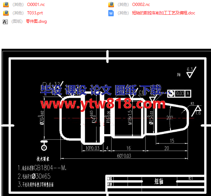 典型短轴的数控车削加工工艺及编程设计