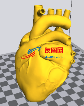 人类心脏模型3D打印图纸 STL格式